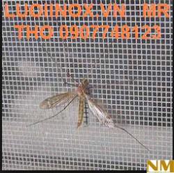 Lưới inox chống muỗi 304