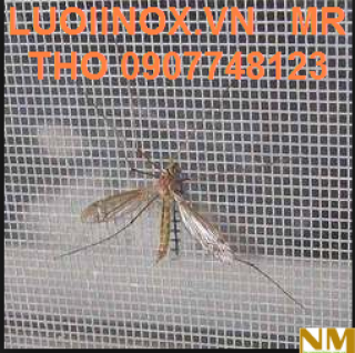 Lưới inox chống muỗi 304